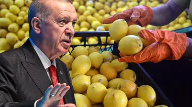 Limon fiyatlarında yeni hamle Erdoğan talimatı verdi