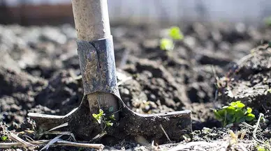 Bakanlıktan çiftçiler için yeni düzenleme: 2016’dan beri yasak olan gübre yeniden kullanılabilecek