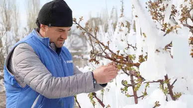Türkiye’ye sürpriz soğuk hava dalgası kar ve don riski geliyor