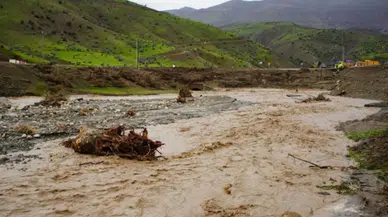 Sağanak yağış sele dönüştü: Siirt'te 35 küçükbaş telef oldu