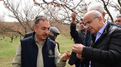 Malatya’da dolu felaketi: 7 ilçede 52 mahalle hasar gördü