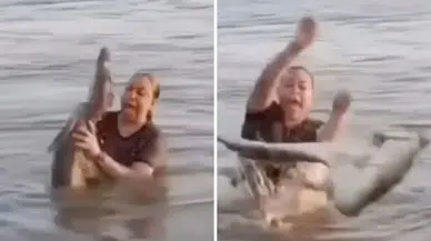 Meksika'da timsah kabusu: Kütük sandığı timsahı eline aldı!