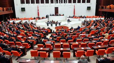 Doğum izni düzenlemesinde 3 madde daha kabul edildi! Süreç devam ediyor