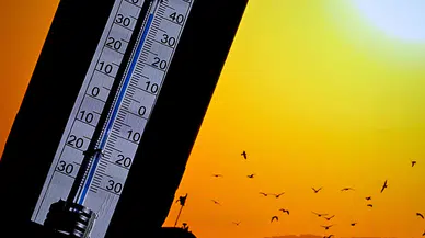 Türkiye’nin en sıcak ilçesinde termometreler 46 dereceyi gördü