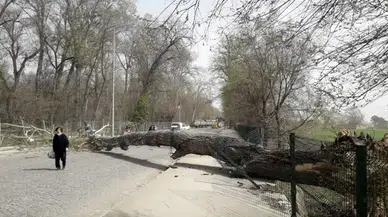 Meteoroloji uyardı: Batı Karadeniz ve Marmara’da fırtına bekleniyor