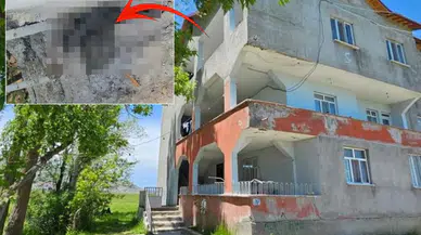 Muş’ta yılan alarmı: Evlerini 3 metrelik yılanlar sardı