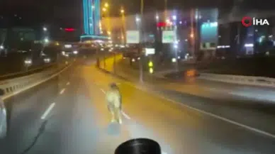 Sahibinin elinden kaçan kurbanlık dana E-5 karayoluna girdi