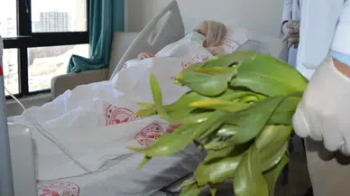 Şifalı diye yediği ot yüzünden canından oluyordu: Tüm organları zarar gordu