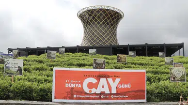 ÇAYKUR’dan çay hasadı açıklaması: “900 ton yaş çay alındı”