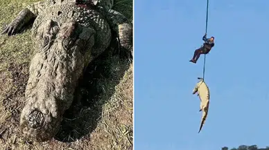 Kayıp kişileri o mu yedi? Dev timsahın midesinden 6 çift terlik çıktı
