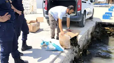 Aydın’da menşe belgesiz taşınan 60 kilogram canlı yengeç ele geçirildi