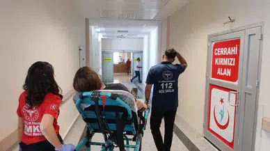 Kediye çarpmamak için direksiyon kırdı, otomobil şarampole yuvarlandı: 3 yaralı