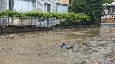 Ordu’da şiddetli yağış nedeniyle ev ve iş yerlerini su bastı
