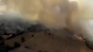 Balıkesir'de yangın: Ziraat alanında başlayan yangın ormana sıçradı