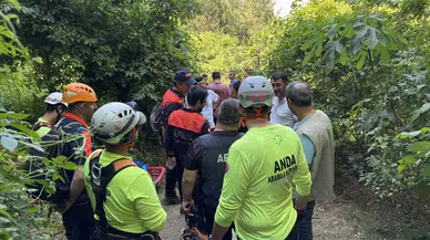 Bursa'da ıhlamur toplamaya giden yaşlı adamın cansız bedenine ulaşıldı
