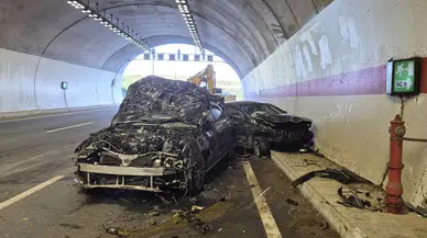 Şile'de tünele giren ineklere iki otomobil çarptı: 10 inek telef oldu
