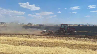 Mardin'de buğday tarlasında yangın çıktı: 80 dönüm alan zarar gördü