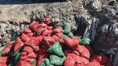 Manisa'da sağlıksız 4 ton midye imha edildi