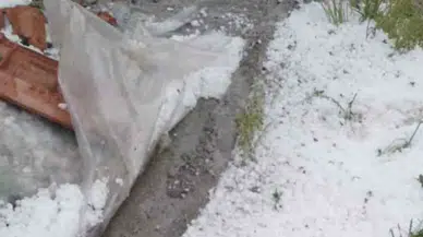 Kastamonu'da dolu yağışı tarım arazilerine zarar verdi
