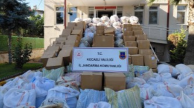 Kocaeli'de operasyon: 5 tonun üzerinde kaçak tütün ele geçirildi
