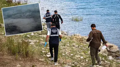 Sapanca Gölü'nde yeşil alg tespit edildi