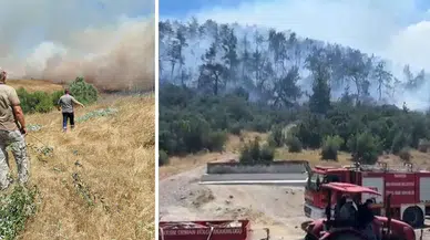 Balıkesir'de 3 ayrı noktada orman yangını çıktı