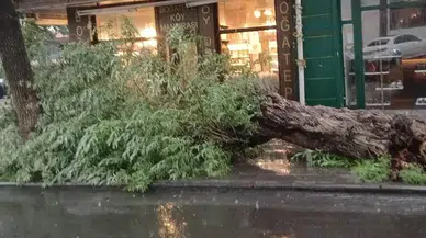 Kars'ta sağanak ve fırtına hayatı olumsuz etkiledi