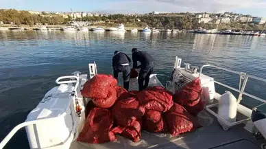 Kaçak avlanan 700 kilogram midye ele geçirildi