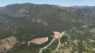 35 gündür kayıp olarak aranıyordu: Üniversite öğrencisi ormanda ölü bulundu