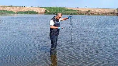 Edirne'de Korucu Göleti'nde balık ölümleri: Numuneler laboratuvara gönderildi
