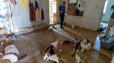 Kokunun nedeni çöp değildi! Ekipler eve girince şoke oldu