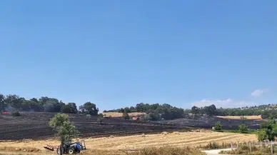Bilecik'te arazi yangını: 80 dönüm alan zarar gördü