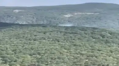 Balıkesir’de orman yangını çıktı: Ekipler seferber oldu