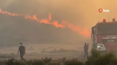 Hatay’da orman yangını! Yerleşim yerlerine yakın noktada çıktı
