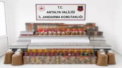 Manavgat’ta kaçak tütün operasyonu: 30 bin dolu makaron ve 274 nargile tütünü ele geçirildi