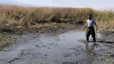 Hakkari’de sular çekildi, binlerce balık telef olma tehlikesiyle karşı karşıya