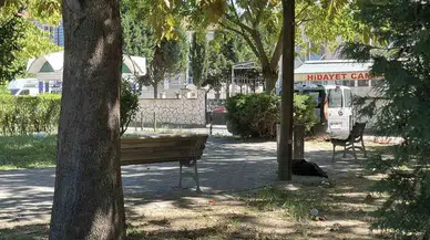 Sakarya'da şüpheli ölüm: Parkta hareketsiz halde bulundu