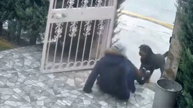 Ankara'da sokak köpekleri saldırısı: Yaralı kadın hastaneye kaldırıldı