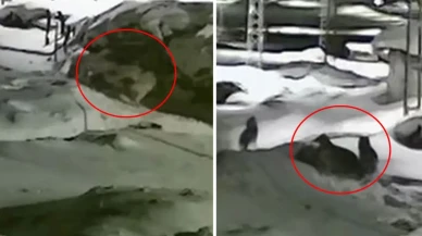 Şekip Mosturoğlu'ndan Fenerbahçe Stadı açıklaması, taşınma iddialarına yanıt geldi