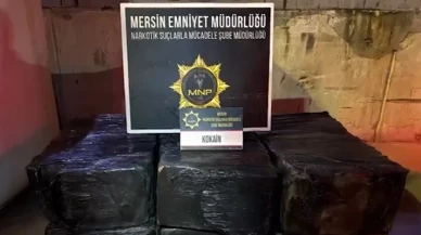 Mersin limanında yer fıstığı yüklü gemide 298 kilogram kokain ele geçirildi