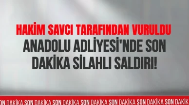 Son dakika geçildi! Anadolu Adliyesi'nde son dakika silahlı saldırı! Kadın hakim savcı tarafından vuruldu