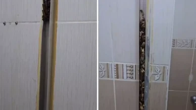 Öğrencilere kiraya verdiği eve giren kadın, gördüğü manzara karşısında sinir krizi geçirdi