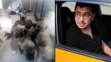 Köpekleri istismar edip öldüren doktor hakkında yeni karar: Yeniden yargılanacak