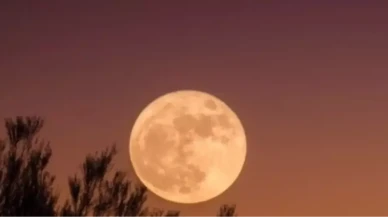 2026 Şubat Dolunayı Ne Zaman? Burçlara Etkisi Ne Olacak?