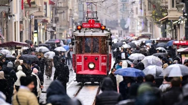 İstanbul hallerinde 2025'in en çok tüketilen ürünü mandalina, sebzede domates zirvede