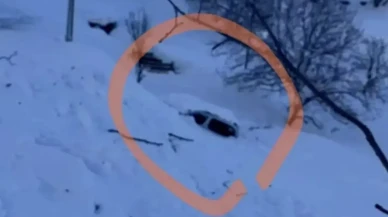 Şırnak'ta çığ felaketi: 5 kişilik aile son anda kurtarıldı