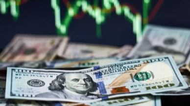 Dolar tarihte ilk kez 43 lirayı aştı