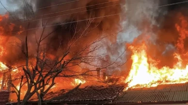 Kedileri korumak için yaktıkları soba evlerini yaktı: İki ev küle döndü