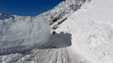 Van-Çatak yolu 4 gündür kapalı: Çığ tehlikesi ve enerji krizi