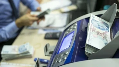 Hazine destekli tarım ve esnaf kredilerine düzenleme
